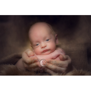 Babyfoto Kinderfoto Saar Pfalz Baby Sattel Kiste Studio Hände Eltern