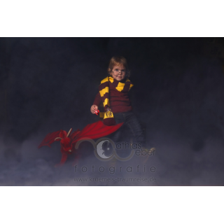 Babyfotografie Kinderfotografie Harry Potter Drache Magie Phoenix Zauberer Hogwarts Gryffindor