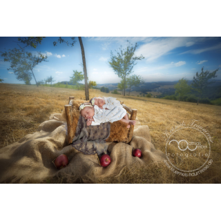 Babyfotografie Kinderfotografie Saar Pfalz Natur Vintage Herbst Sommer Romantik Obst Apfel Zwillinge