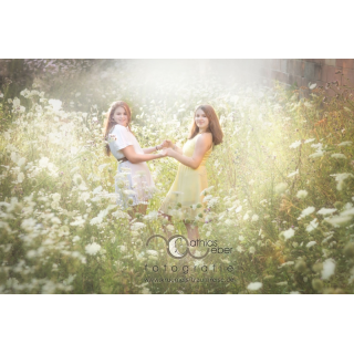 Portraitfotografie Saar Pfalz Peoplefotografie Familienfoto Mädchen Sommer Blumenwiese